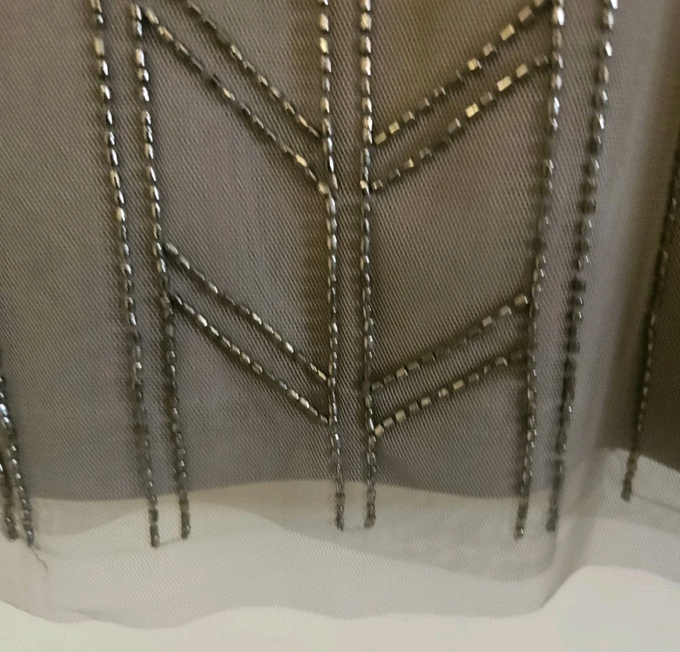 Vestido Corto Sin Mangas Adrianna Papell Mercury Encaje Brillante Cuentas Talla 12. Nuevo con etiquetas. Foto 3 de 4