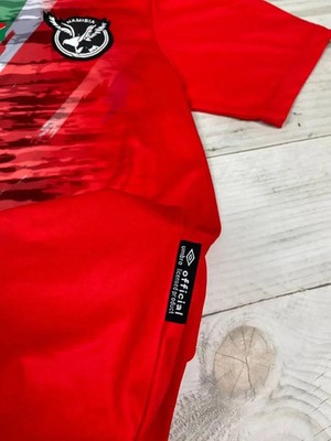 Maillot Extérieur Namibie 2022/23 - Umbro - Taille XL - Porté