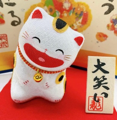 Japanische Chirimen Lucky Laughing Cat Figur Schwarz Weiß Handarbeit Kyoto Neu