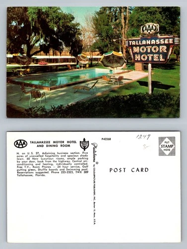 Tallahassee, FL-Florida, Tallahassee Motor Hotel Pool Neon Sign Vintage Postcard
