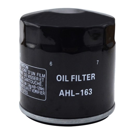 Oil Filter for BMW R1100RS R850R K1200RS K1200LT R1100S R1150GS K1200RS