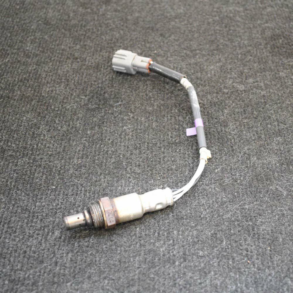 バイ・アンド・バイ Genome-wide detection of DNA double-stranded breaks induced