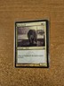 MAGIC THE GATHERING RAVNICA:CITY OF GUILDS UNCOMMON WATCHWOLF LIGHTLY PLAYED