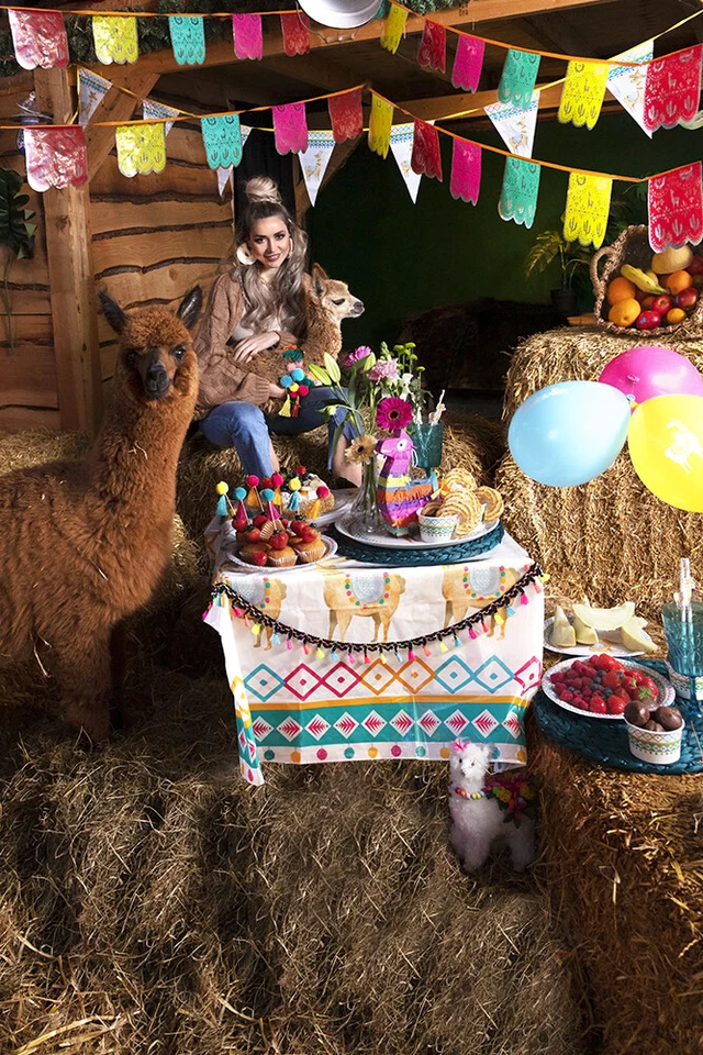 MEXICAN LLAMA DRAMA FUN DECORATIONS - PARTYWARE COMPLETE SELECTION - Image 2 of 4