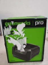 Greenworks 60v 6Amp Rapid Charger (OEM) for Charging Pro 60-Volt battery 