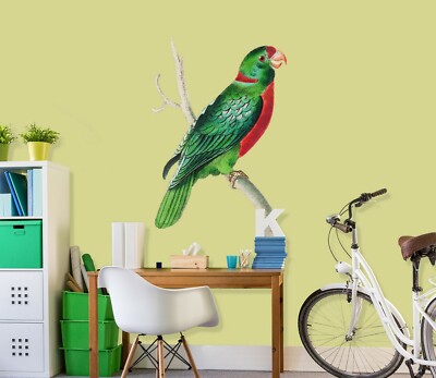 3D Papagei H735 Tier Wallpaper Wandbild Poster Wandaufkleber Abziehbild Hone