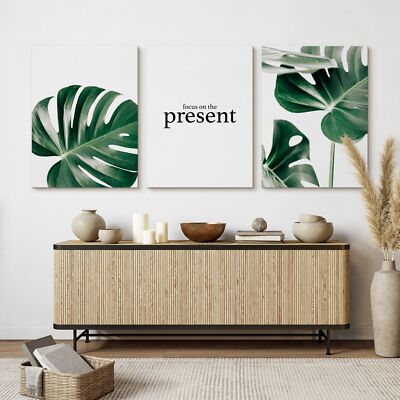 cast iron plant Cast Iron Plant | Medium