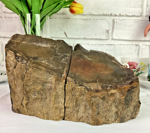 Petrified Wood Stone Fossil Bookends Set of 2 Felt Bottoms