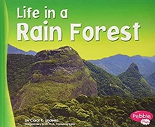 Life in a Rain Forest Hardcover Carol K. Lindeen