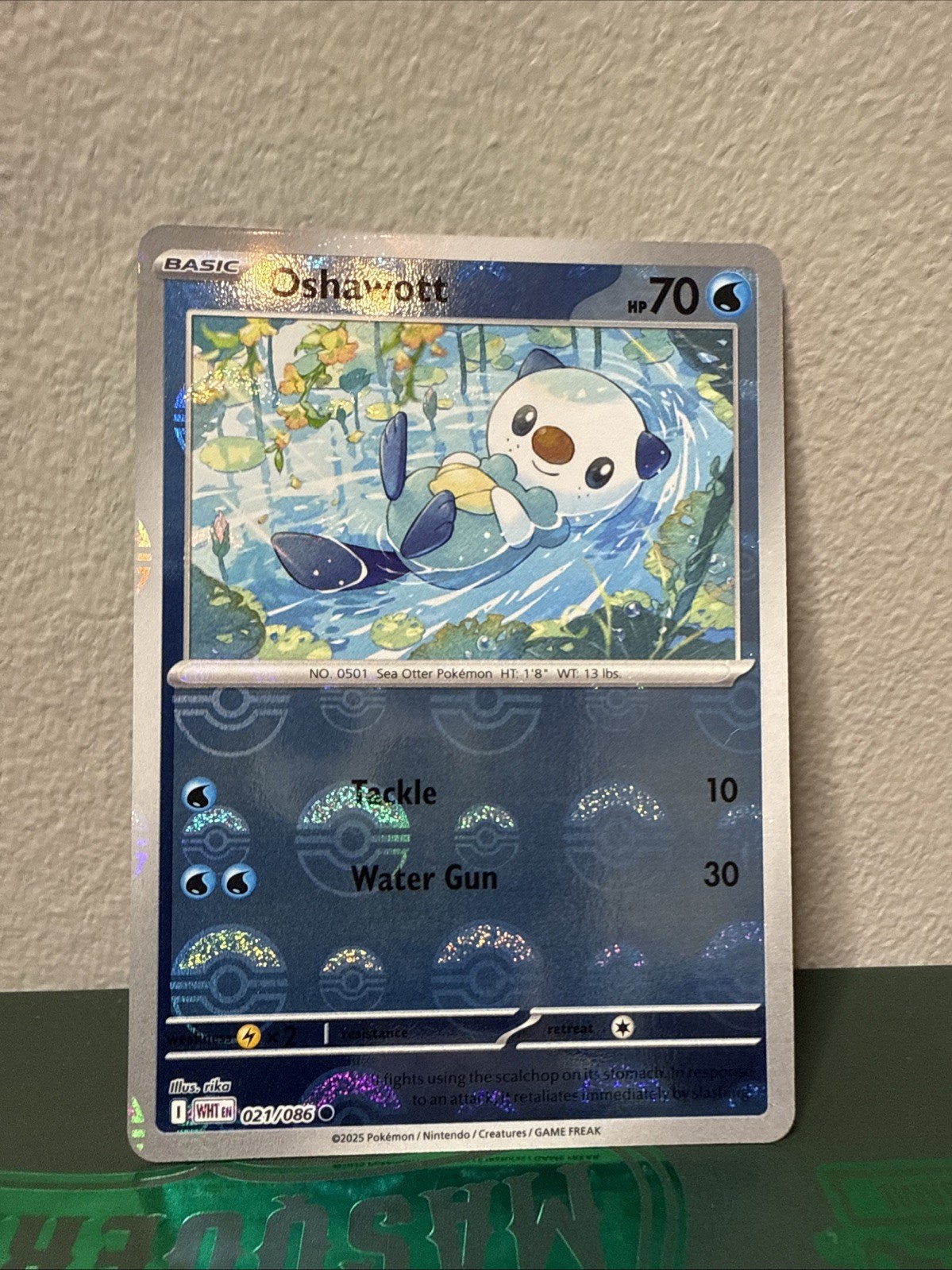 Oshawott (Pokeball Pattern) 021/086 SV: White Flare Common - LP