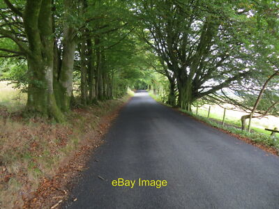 Foto 6x4 von Bäumen gesäumte Nebenstraße zwischen Stonegarthside und Hirsthead Bush um 2021