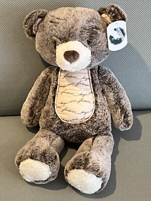 Mary Meyer Soft Sayings Teddy Bear Stuffed Animal Toy Hugs Forever 43600 New 17 