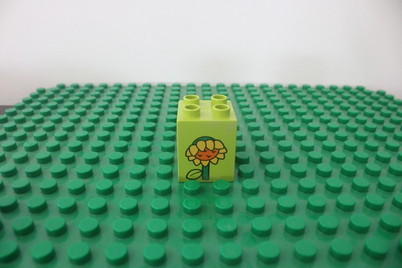 Bild 62 von 67