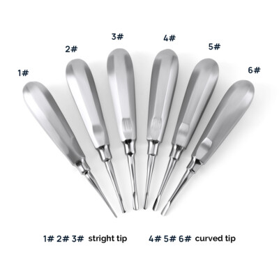 6 Sizes Dental Elevators Stainless Steel Straight Curved Surgical Extraction Kit