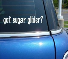 got sugar glider? CAR DECAL BUMPER STICKER VINYL FUNNY JOKE WINDOW