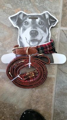 Dog Leash And Collar
