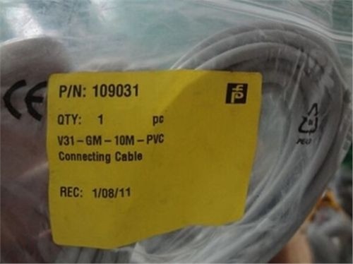 1Pcs New V31-GM-10M-PVC Pepperl+Fuchs Plc Module ca - Picture 2 of 2