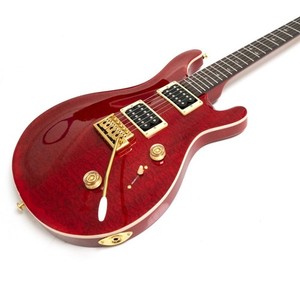 24 Frets Custom Electric Guitar Tremolo Bridge Mahogany Body Professional Guitar