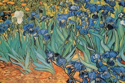 639132 Garden Of Irises Van Gogh Painting Wall Decor Poster