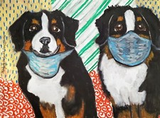 Bernese Mountain Dog Quarantine Art Print 5x7Collectible Signed by Artist KSams