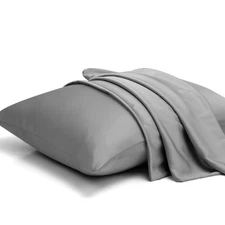 Mulberry Silk Pillowcases Set of 2, 22 Momme Grade 6A Silk Pillow Cases Both ...