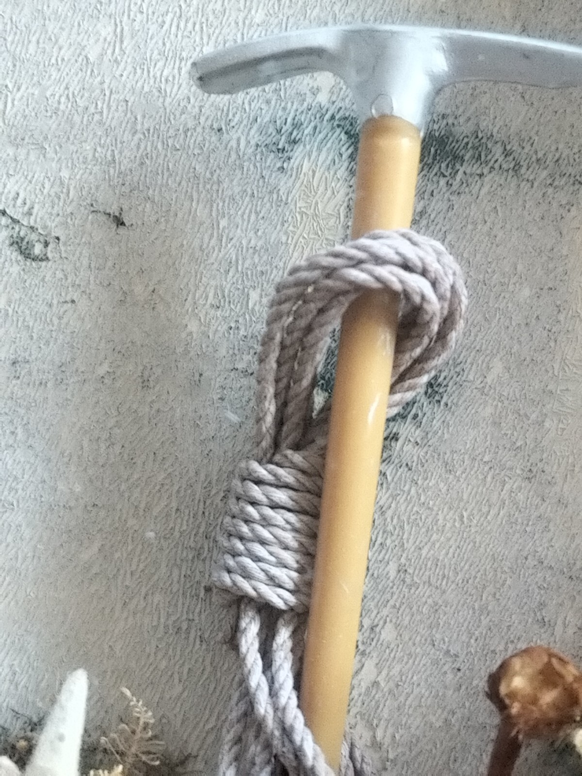 Foto 11 di 17
