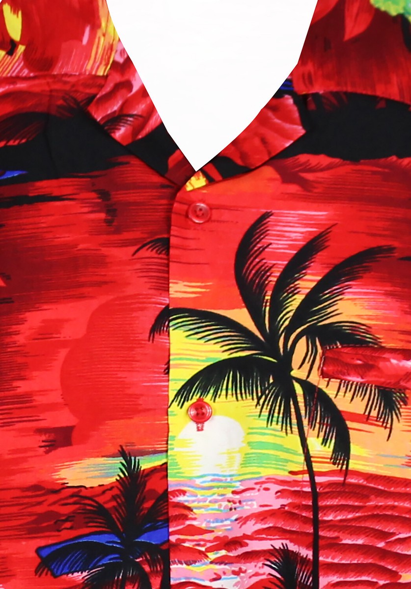 Hawaii Shirt Skulls Camicia Hawaiana Con Teschi - Stile Funky Grigia, In Poliestere, Per Feste E Costume V.H.O. Camicia Teschi Regalo - Foto 7