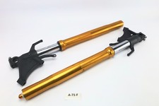 Yamaha YZF-R1 RN19 2007 - Gabelrohre Federbeine A71F