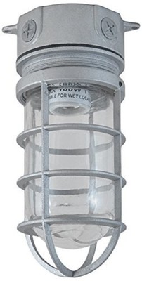 Topaz Electric VFI100W50CG 100W Vaporproof Fixture 1/2-Inch