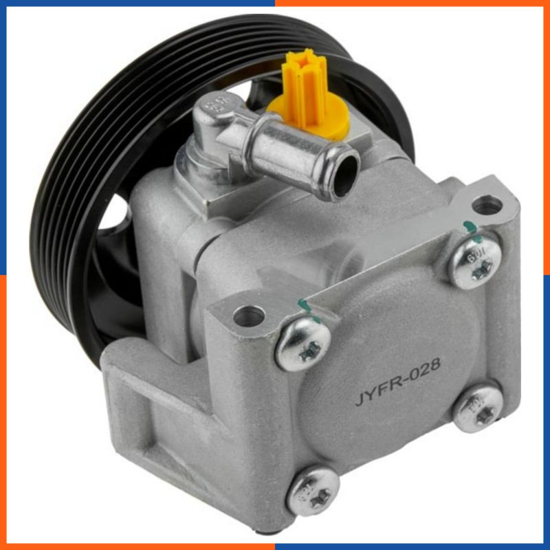 Pompe de direction assistée pour FORD - Modèle standard DSP148
