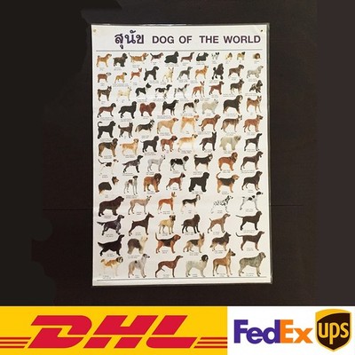 How Many Dogs Breeds in the World: Ultimate Guide to Every Breed