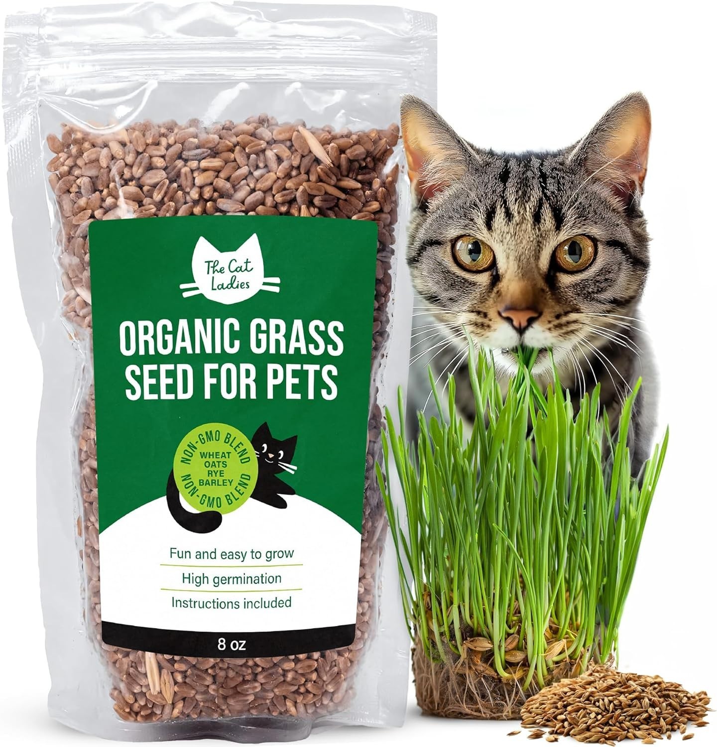 Non-GMO Indoor Cat Grass Seeds - Superfood Blend of Wheat, Rye & Barley (8 oz)