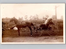c1910 Man In Horse Drawn Wagon Carriage RPPC Real Photo Postcard