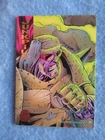 Fleer Marvel Universe 1994 Trading Card Junkpile 177