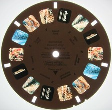 International Design Guild Fine Floor Covering View-Master 3-D Advertising Reel 