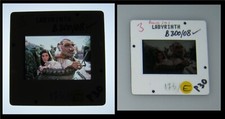 Original LABYRINTH 35mm Studio Stamped Prod Slide JENNIFER CONNELLY Shari Weiser