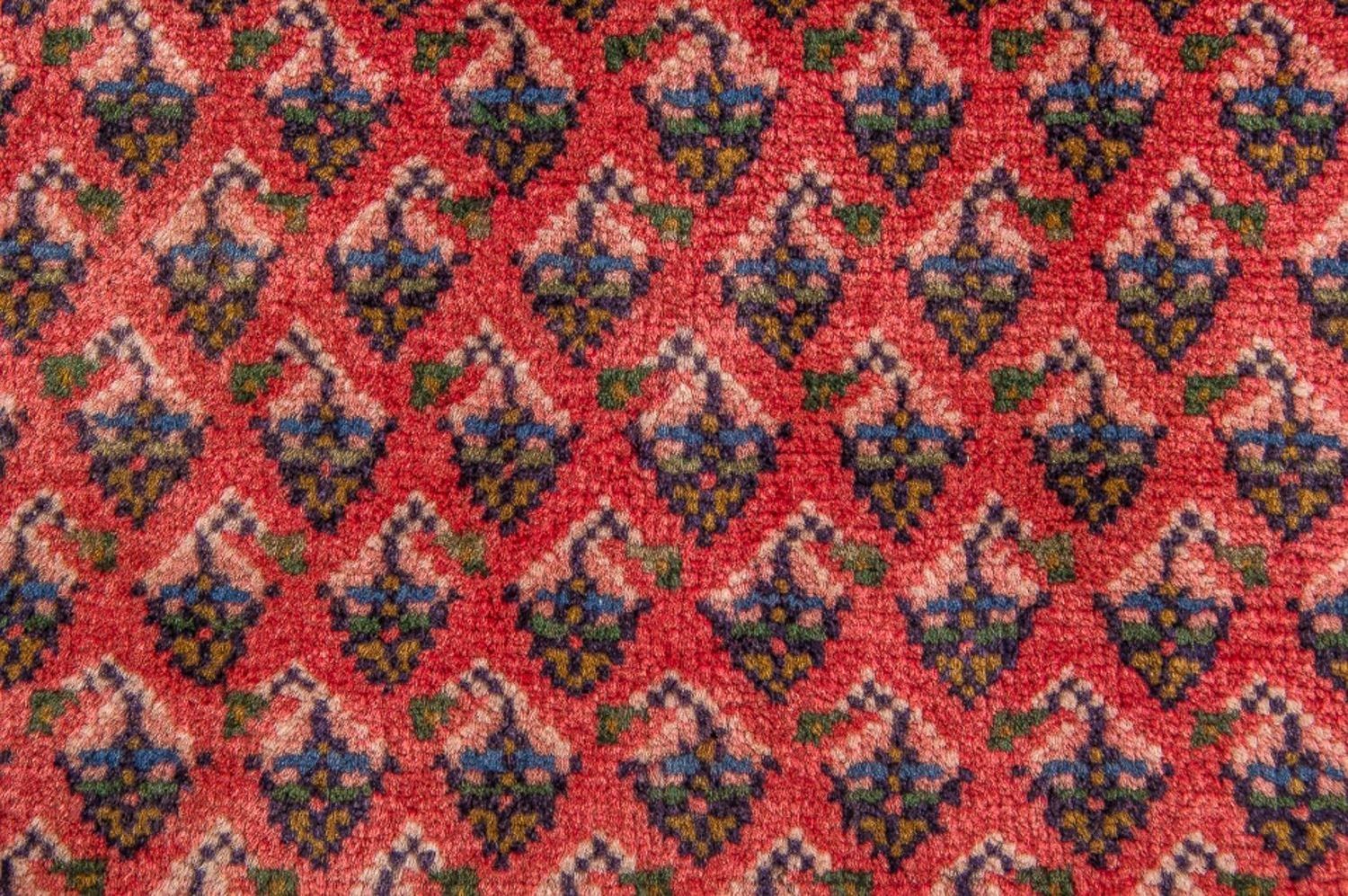 Morgenland Orientteppich - 320 x 220 cm - Rot