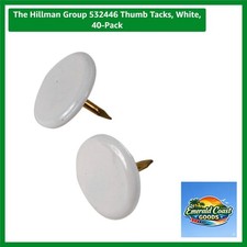 Elegant 40-Pack White Thumb Tacks - Ideal for Chart and Calendar Hanging