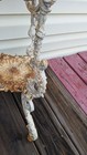 Cast Iron Chereb Plant Stand Potted Pedestal Ornate Victorian Style? — photo 9