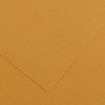 25 Pack - Canson Colorline Sheet 8.5''X11''-Leather - 5A0036C3-1H7HS