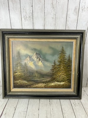Mountain View with Pine Trees Vintage Oil Painting on Canvis Signed and Framed