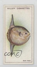 1928 Wills Wonders of the Sea Tobacco The Sun-Fish #15 04h3