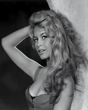 Beautiful French Actress Brigitte Bardot 8 x 10 Picture Print Photograph Reprint