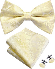 Mens Paisley Bow Tie Handkerchief Jacquard Woven Adjustable Pre-Tied Bowties Poc