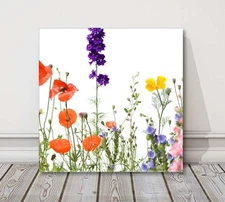 Wild Flowers canvas picture print. Colourful flowers on a white background.