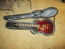 Epiphone Genesis, with case!