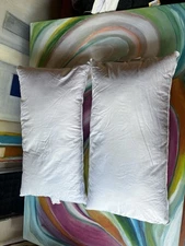 2 Parachute Down Pillows 20x36 See Photos