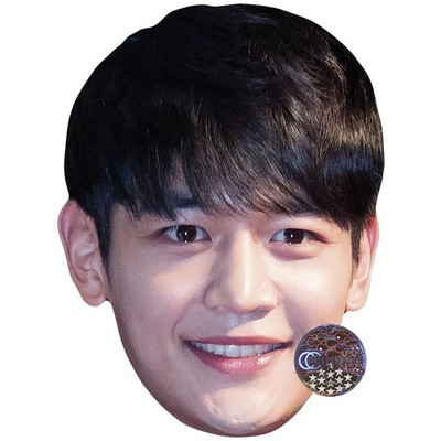 Choi Min-ho Celebrity Mask, Flat Card Face, Fancy Dress Mask