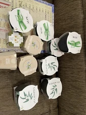 4X Aloe ,3X Eucalyptus ,1x Daisy,3xFMN Succulent Plant Seed Complete Grow Kit