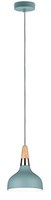 Paulmann Pendelleuchte Neordic Juna 1-Flammig 16Cm HäNgeleuchte Lampe Leuchte
